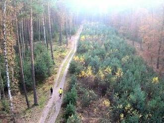 Rychlý půlmaraton mimo silnici? Zkuste novinkový Mizuno Labský půlmaraton