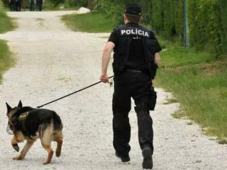 Prípad schátraného domu na Záhradníckej ulici opäť rieši polícia