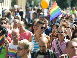 Společnost není nenávistnější, má jen víc nástrojů, jak hejtovat, říká ředitel Prague Pride