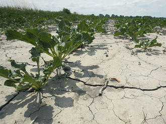 Zvládne Slovensko klimatickú krízu?