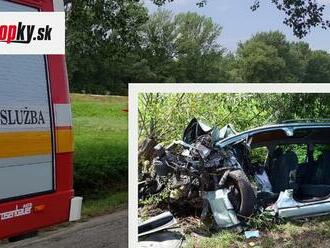 FOTO Tragická nehoda na juhu Slovenska: Čelná zrážka dvoch áut v protismere! Vodič   zahynul