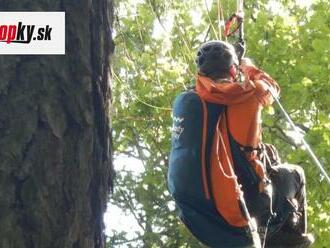 FOTO V 15-metrovej výške uviazol na strome paraglajdista: Zachraňovali ho hasiči