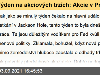 Týden na akciových trzích: Akcie v Praze pouze rostly, za mořem se opět posouvala rekordní laťka výše a výše  