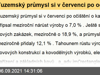 Tuzemský průmysl si v červenci po očištění o kalendářní vlivy připsal meziroční nárůst výroby o 7,0 %