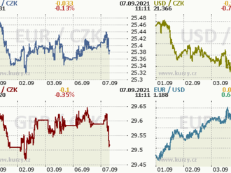 Koruna vyhlíží úroveň 25 CZK/EUR