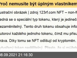 Proč nemusíte být úplným vlastníkem NFT, přestože si jej koupíte  