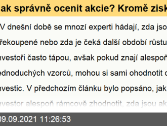 Jak správně ocenit akcie? Kromě zisku   jsou vodítkem také tržby  