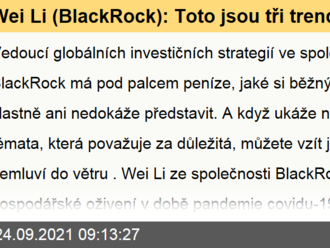 Wei Li  : Toto jsou tři trendy, na kterých je a bude možné vydělat   v rámci hospodářského oživení po pandemii