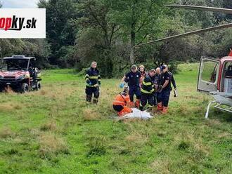 Podrobnosti útoku medveďa v Hradišti: Dohryzená žena skončila v nemocnici, kompetentní neplánujú zakročiť!