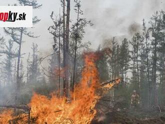 Greenpeace bije na poplach: Požiare v Rusku spálili oblasti s veľkosťou polovice rozlohy Nemecka