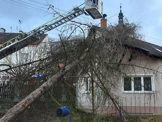 Hasiči ze stanice v Ústí nad Labem odstranili pomocí výškově techniky strom, který spadl na rodinný…