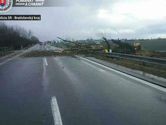 Cesta medzi Malackami a Veľkými Levármi je neprejazdná, pád stromu tam spôsobil únik plynu  