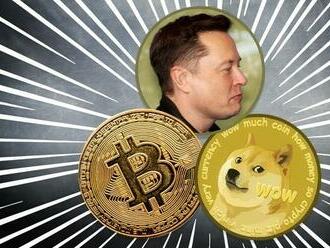 Dlouho očekávaný optimismus na krypto trhu: bitcoin roste, zatímco Musk lobuje za dogecoin