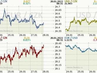 Koruna si po Fedu připisuje drobné zisky