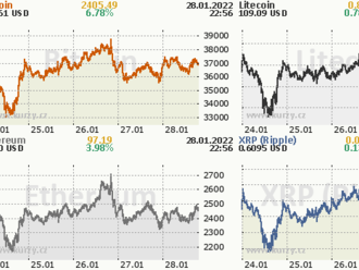 Vávra  : Hodleři se ztrátám bitcoinu asi mohou smát, pokud nakupovali v dobách levných kryptoměn. Na ceně ale vždy záleží, stačí se podívat na meme akcie