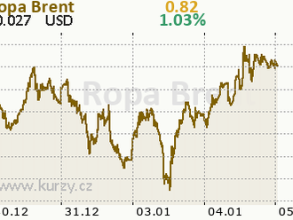 Kartel OPEC+ potvrdil zvýšení denní produkce ropy