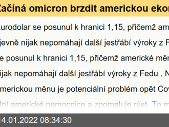 Začíná omicron brzdit americkou ekonomiku?