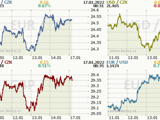 Česká koruna se stabilizovala v okolí 24,50 EUR/CZK