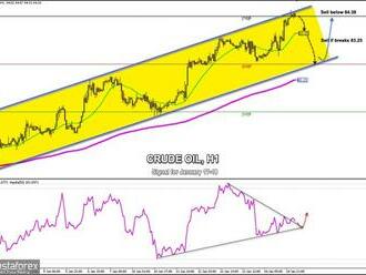 Obchodní signály pro surovou ropu   na 17.–18. ledna 2022: prodávejte pod úrovní 84,38  