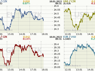 Koruna mírně posílila k úrovni 24,45 EUR/CZK