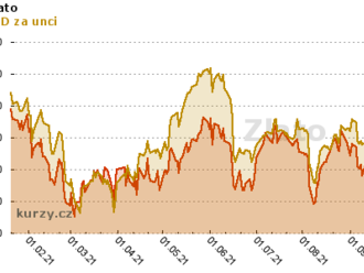 40 % akcií a 200 tun zlata. Takové portfolio devizových rezerv ČNB by se zamlouvalo Aleši Michlovi