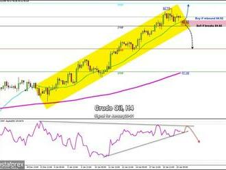 Obchodní signály pro surovou ropu WTI na 20.–21. ledna 2022: nakupujte v případě odrazu na ceně 84,92 USD  