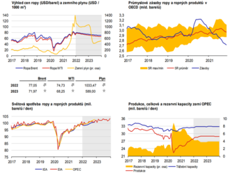 Ropa - Globální ekonomický výhled 1/2022