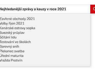 Skokani českého internetu: Jaká témata jsme loni hledali na Seznamu?