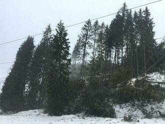 Slovensko zasiahol silný vietor, na diaľnice či plynové potrubie spadli stromy