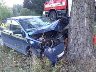 Na silnici mezi obcemi Borová a Polička došlo ke kolizi osobního vozu, řidič s ním narazil do…