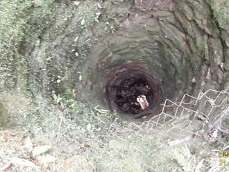 Tachovští hasiči zachraňovali psa, který spadl do opuštěné studny nedaleko obce Milíře. Studna měla…