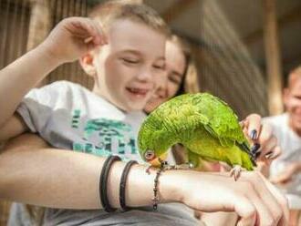 Vstup do ZOOKONTAKT family park v Liptovskom Mikuláši