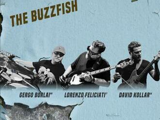 Koncert Kollar/Borlai/Feliciati = The Buzzfish