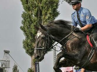 Na Velké pardubické se ukáže i oblíbenec Pardubáků. Kůň Ota se vrátí z důchodu