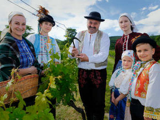 Tesco opäť daruje 170-tisíc eur na podporu projektov po celom Slovensku