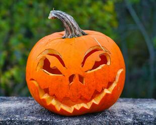 Halloween se blíží: Zde je 7 způsobů, jak prodloužit životnost halloweenské dýně