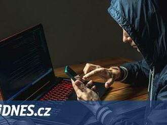 Petice za záchranu kosatek a falešné slevy. Hackeři se v létě činili