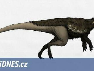 Jak se z vyhladovělé čelisti stal nejstarší známý dinosaurus