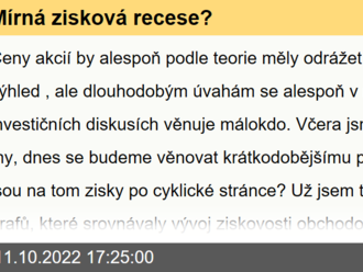 Mírná zisková recese?