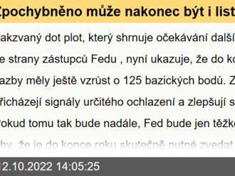 Zpochybněno může nakonec být i listopadové zvedání sazeb - Shepherdson