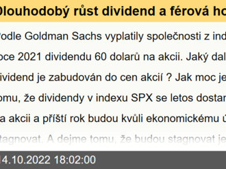 Dlouhodobý růst dividend a férová hodnota amerických akcií