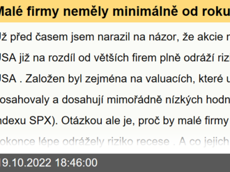 Malé firmy neměly minimálně od roku 1985 nikdy zápornou dlouhodobější návratnost. Co jejich valuace implikují nyní?