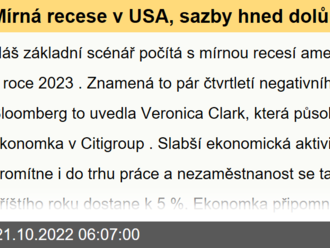 Mírná recese v USA, sazby hned dolů nepůjdou - Clark