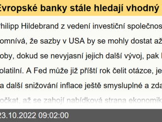 Evropské banky stále hledají vhodný model - Víkendář