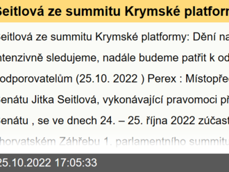 Seitlová ze summitu Krymské platformy: Dění na Ukrajině intenzivně sledujeme, nadále budeme patřit k odhodlaným podporovatelům