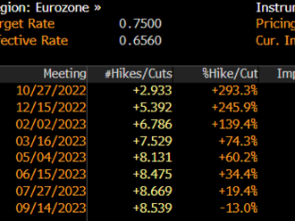 Co lze očekávat od ECB