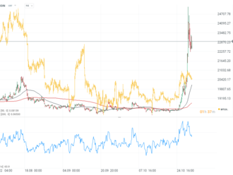 Dogecoin po akvizici Twitteru Elonem Muskem roste