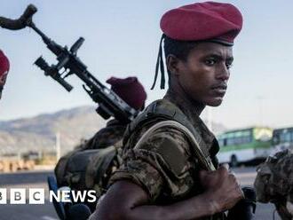 Ethiopia civil war: Warring sides begin peace talks