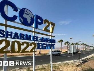 COP27: What is the Egypt climate conference and why is it important?