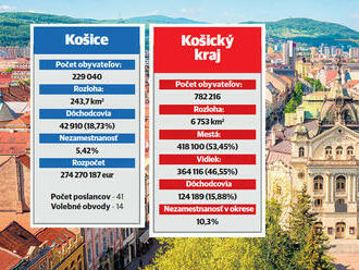 Regionálne voľby 2022: Košickému kraju by mohol pomôcť strategický investor